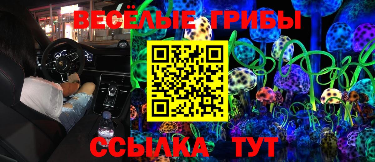 Галлюциногенные грибы Cubensis Ленинск-Кузнецкий